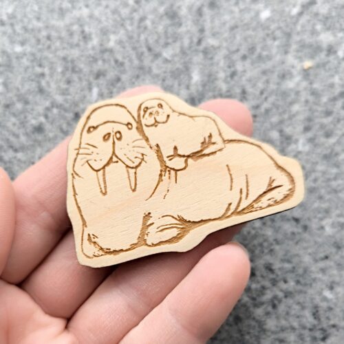 vanerinen eläinmagneetti