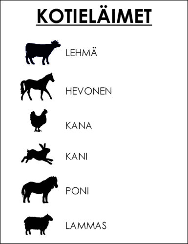 KOTIELÄIMET-avaimenperä (omalla nimellä) - Image 2